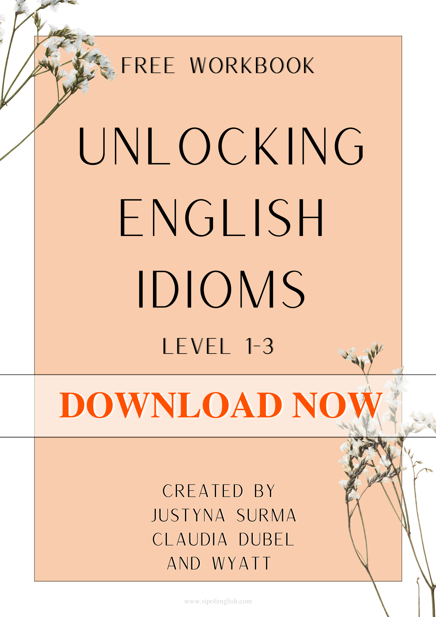 Unlocking English Idioms - Level 1-3