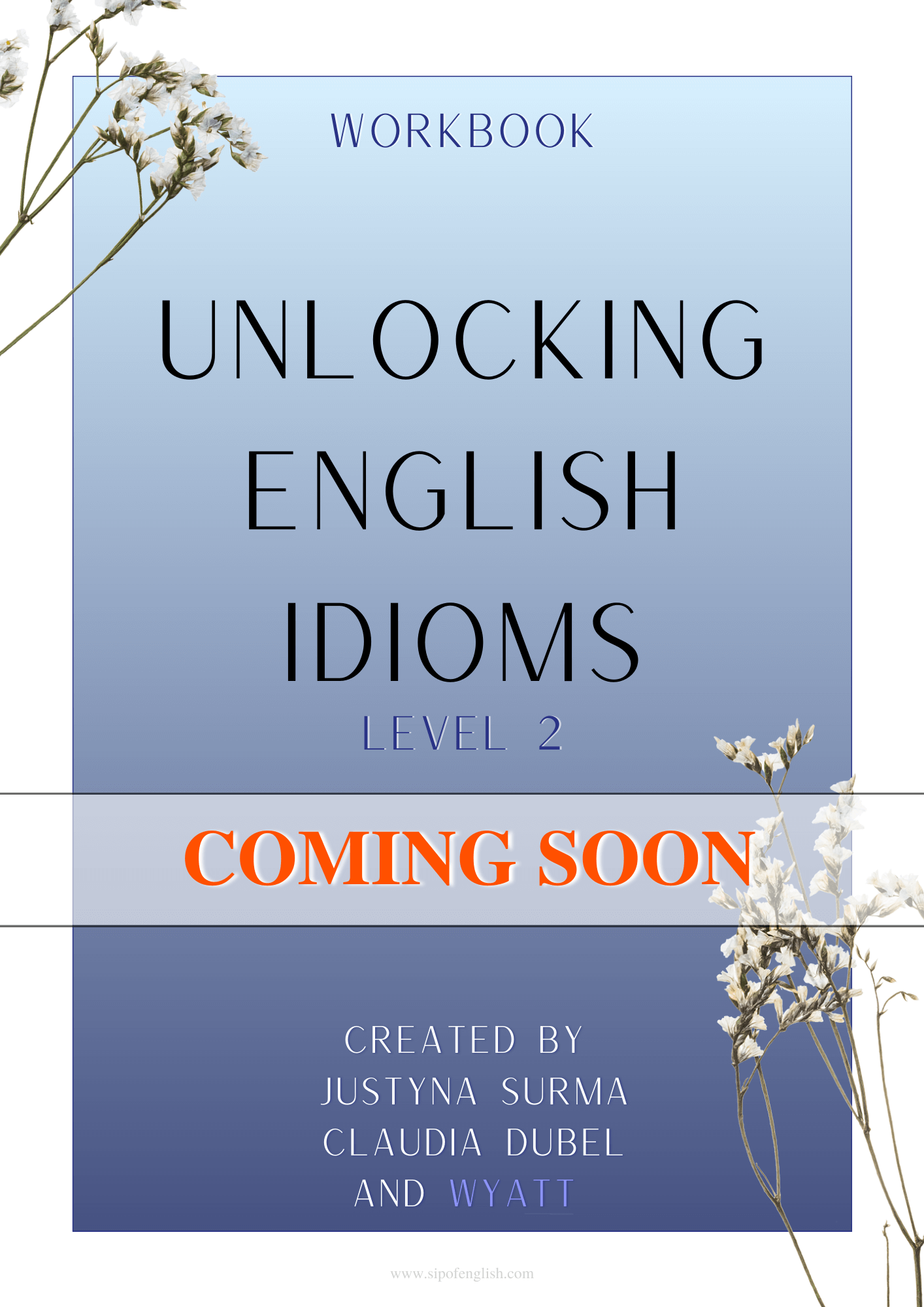 Unlocking English Idioms - Level 2